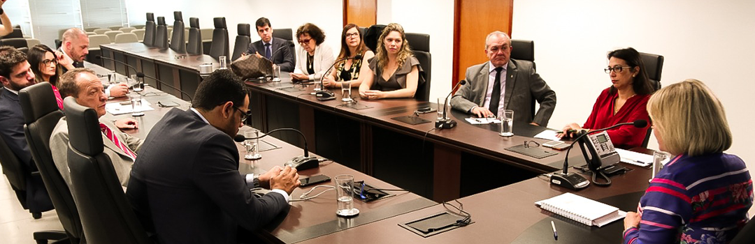 ANAUNI SE REÚNE COM ADVOGADA-GERAL DA UNIÃO SUBSTITUTA