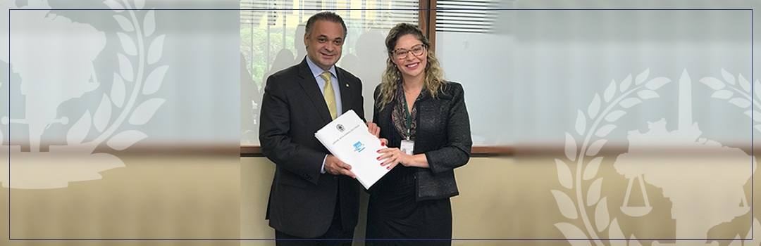 ANAUNI DEFENDE ATRIBUIÇÕES DOS ADVOGADOS DA UNIÃO NO COMBATE À CORRUPÇÃO