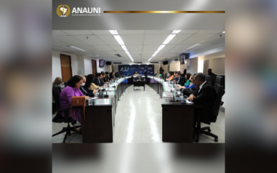 Em reunião da Comissão de Diálogo, ANAUNI debate portaria que regulamenta o teletrabalho