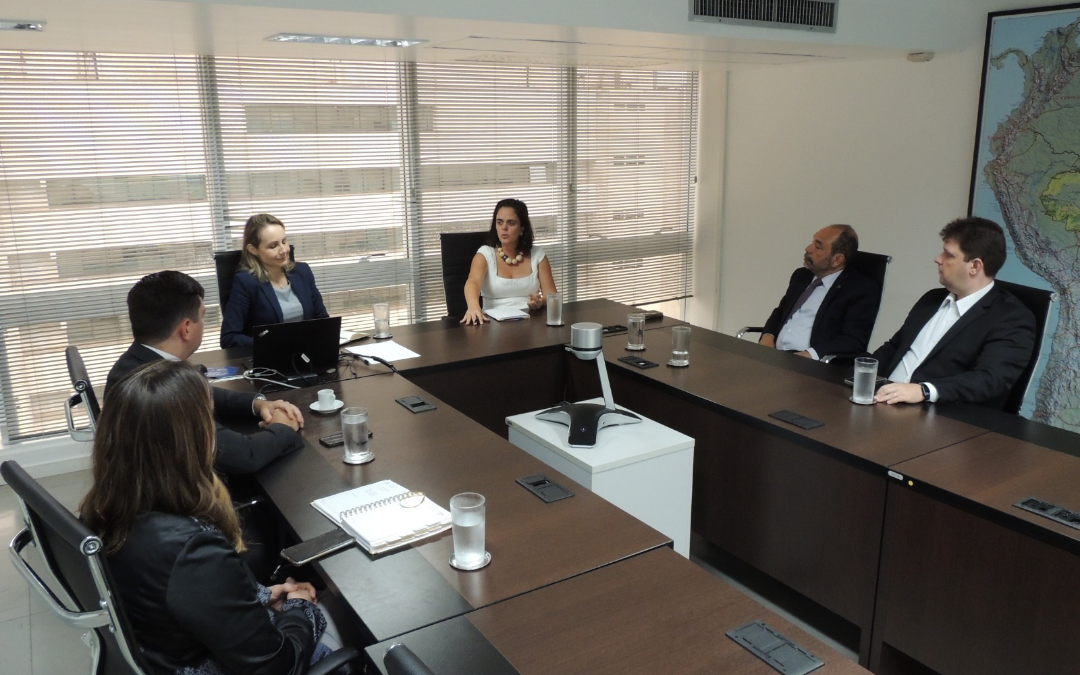 Curso de formação, teletrabalho e transição do Sapiens são assuntos discutidos em reunião entre ANAUNI e AGU