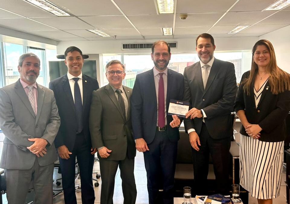 Diretoria da ANAUNI reúne-se com dirigentes dos órgãos superiores da AGU
